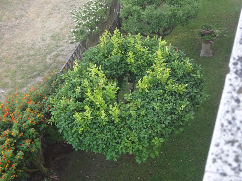 La Pineta Apartment Viareggio Zewnętrze zdjęcie