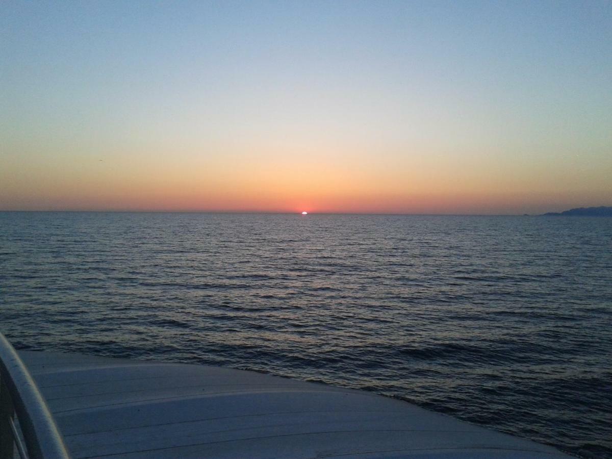 La Pineta Apartment Viareggio Zewnętrze zdjęcie